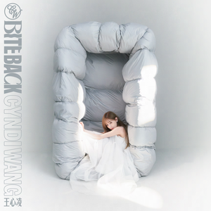 欧美精品少妇放屁网站
